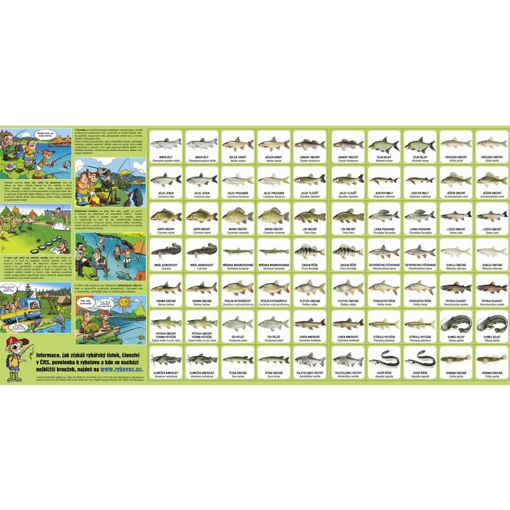 Obrázek Pexeso Ryby našich vod