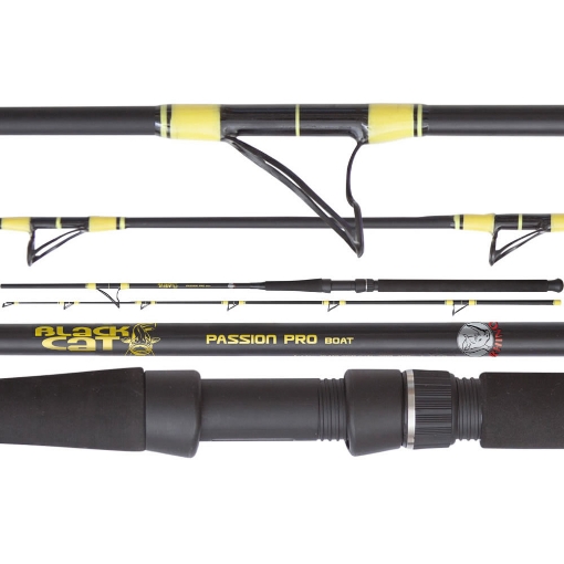 Obrázek Black Cat Passion Pro Boat 2.50m 200-400g