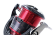 Daiwa Fuego LT 3000-C detail 2