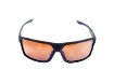 Picture of CSV Polarized Glasses SGL.P02.146.BL.BR
