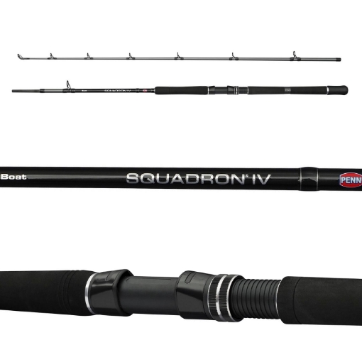 Picture of PENN Squadron IV Boat Cast Rod 2.10m 30-50lb 