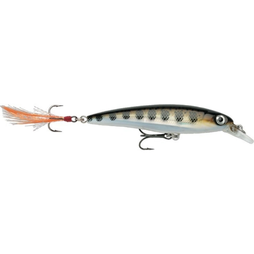 Image sur Rapala X-Rap 8cm Muddler