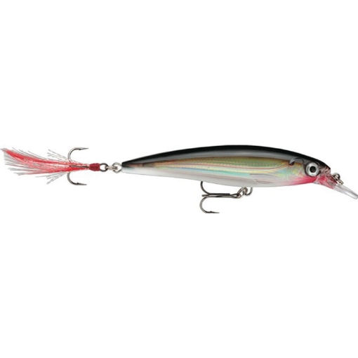 Image sur Rapala X-Rap 8cm Silver